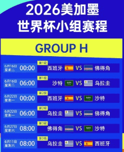2026年世界杯球场概念图
